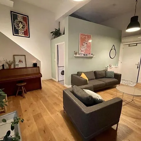 Loft Avec Parking/jardin/clim/wifi Proche Centre Apartment