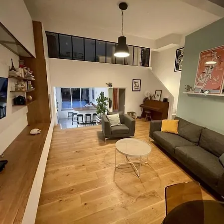 Loft Avec Parking/jardin/clim/wifi Proche Centre Apartment