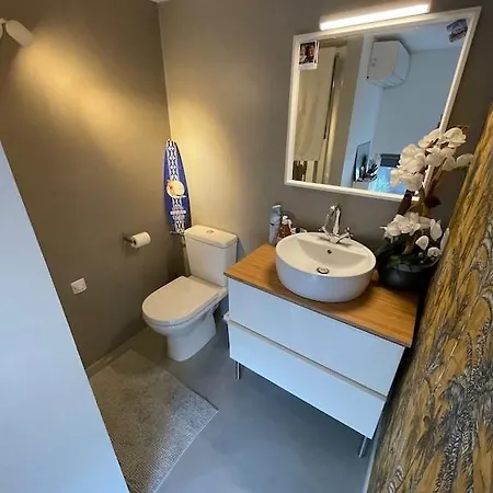 Loft Avec Parking/jardin/clim/wifi Proche Centre Apartment