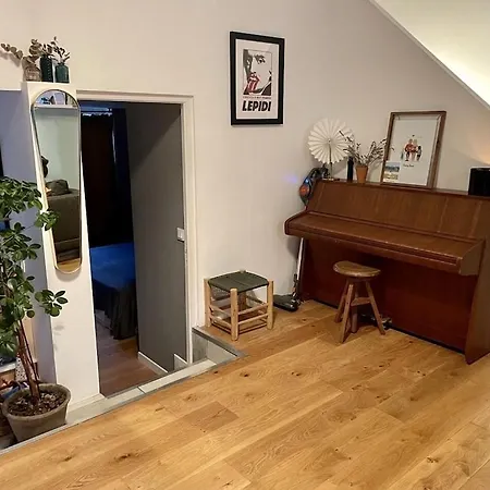 Loft Avec Parking/jardin/clim/wifi Proche Centre Apartment